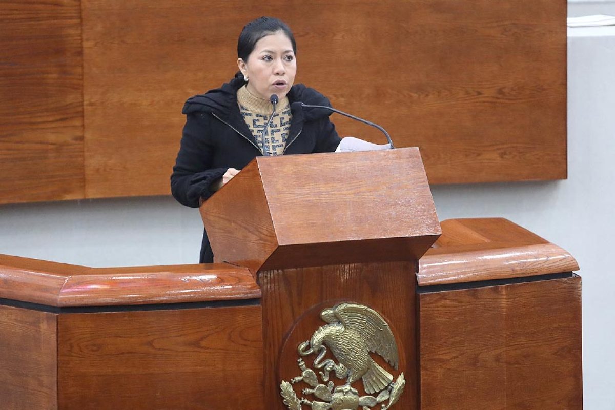Dip. Bernarda Reyes Hernández