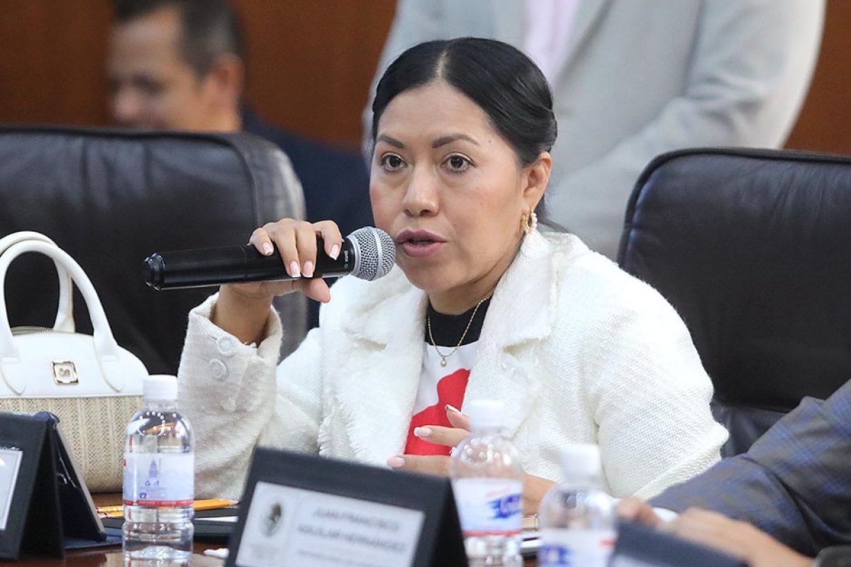 Dip. Bernarda Reyes Hernández