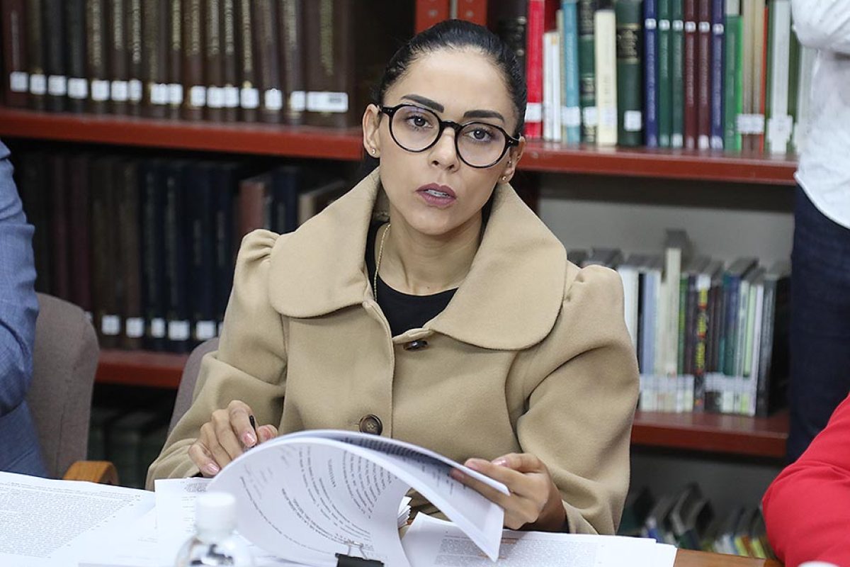 Dip. Cecilia Senllace Ochoa Limón (1)