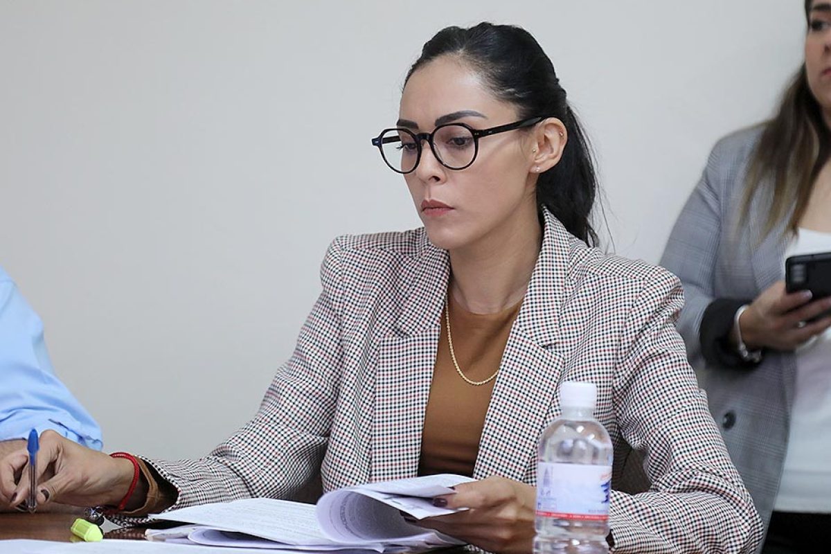 Dip. Cecilia Senllace Ochoa Limón (2)