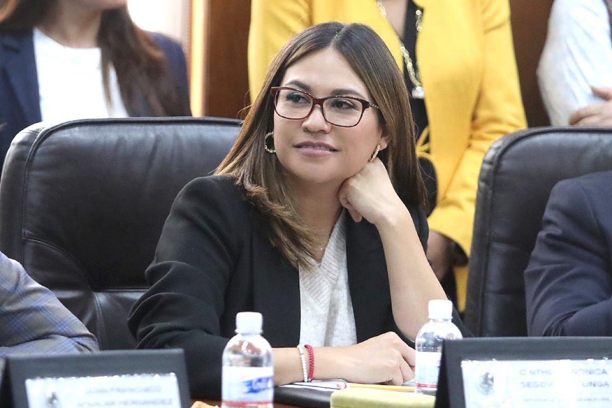 Dip. Cinthia Verónica Segovia Colunga