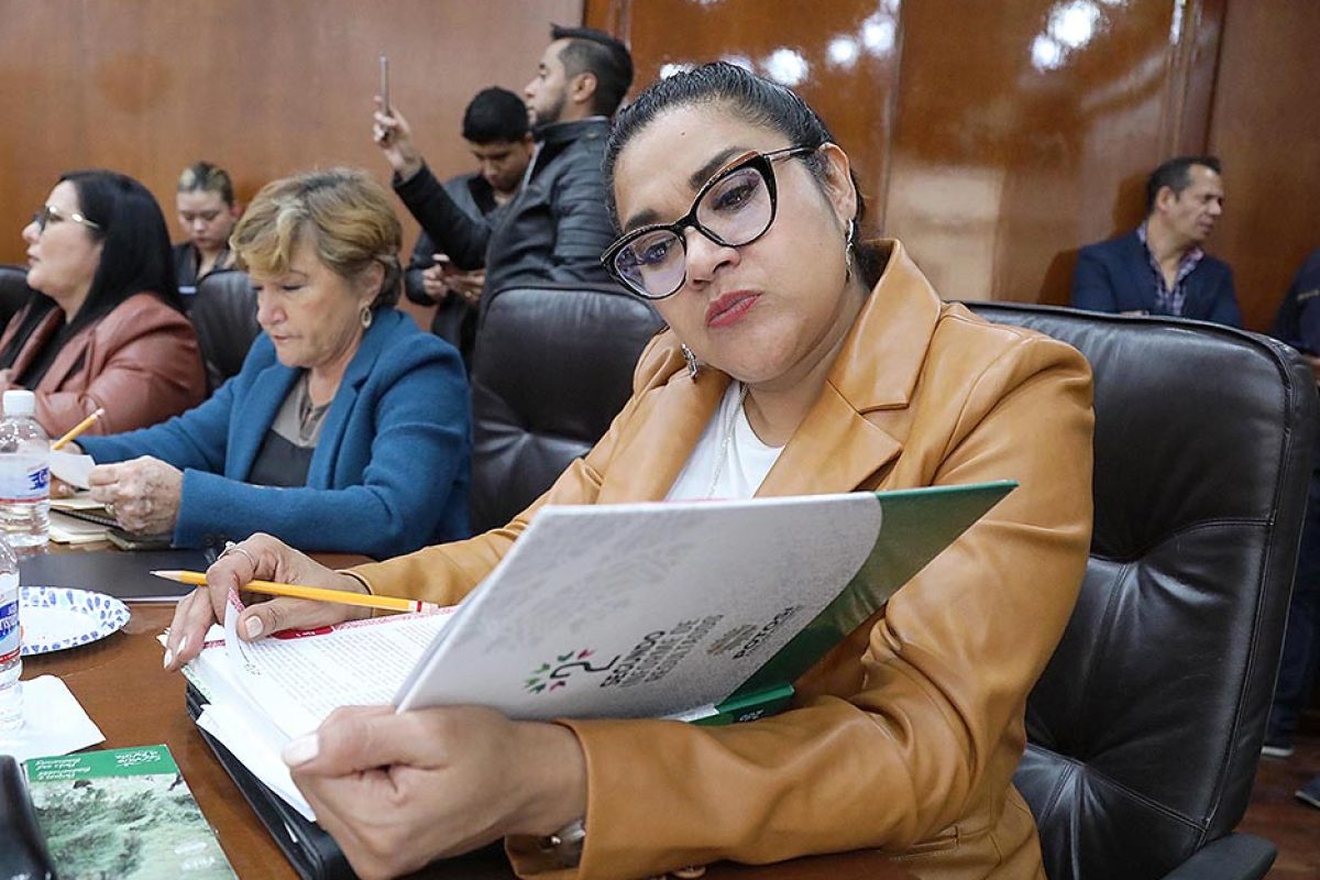 Dip. Emma Idalia Saldaña Guerrero (1)