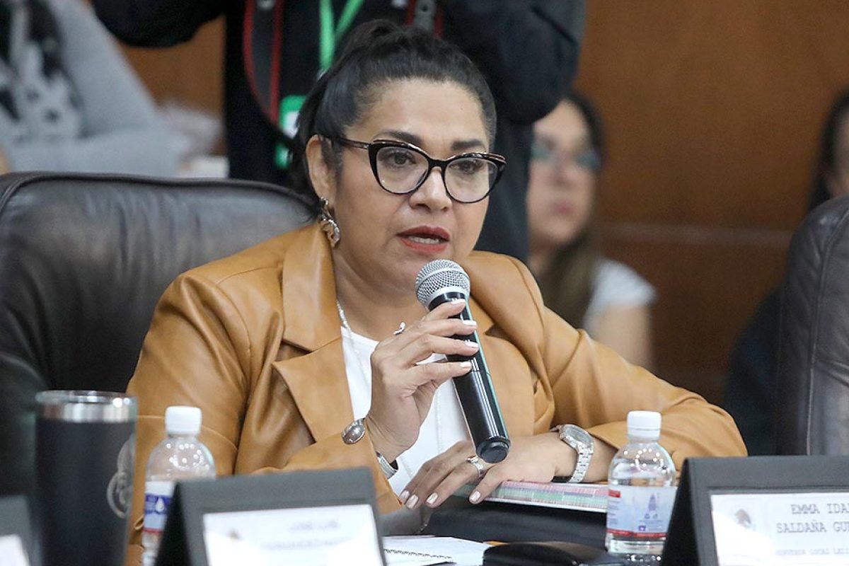 Dip. Emma Idalia Saldaña Guerrero (2)