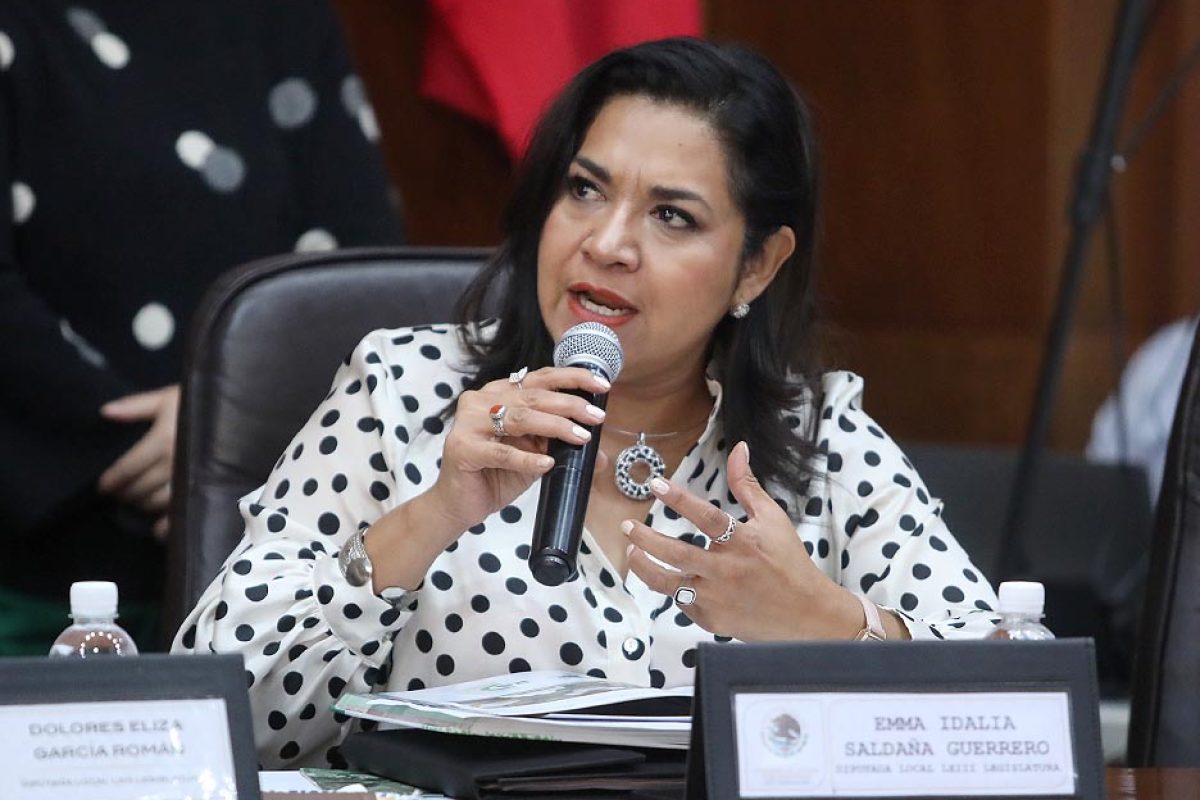 Dip. Emma Idalia Saldaña Guerrero (2)