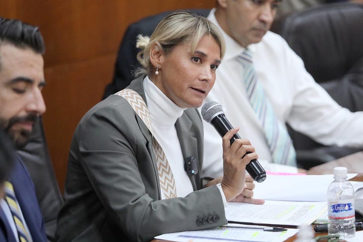 Dip. Gabriela Martínez Lárraga