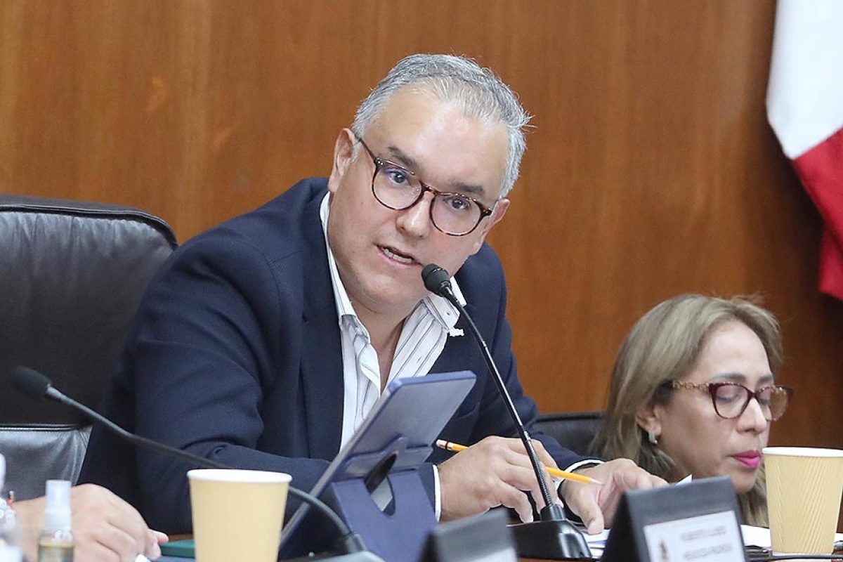 Dip. Héctor Mauricio Ramírez Konishi