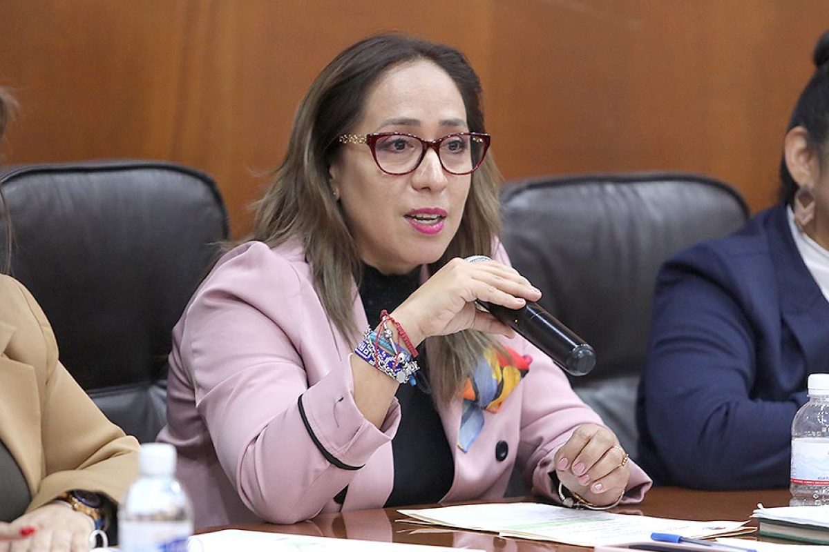 Dip. Liliana Guadalupe Flores Almazán