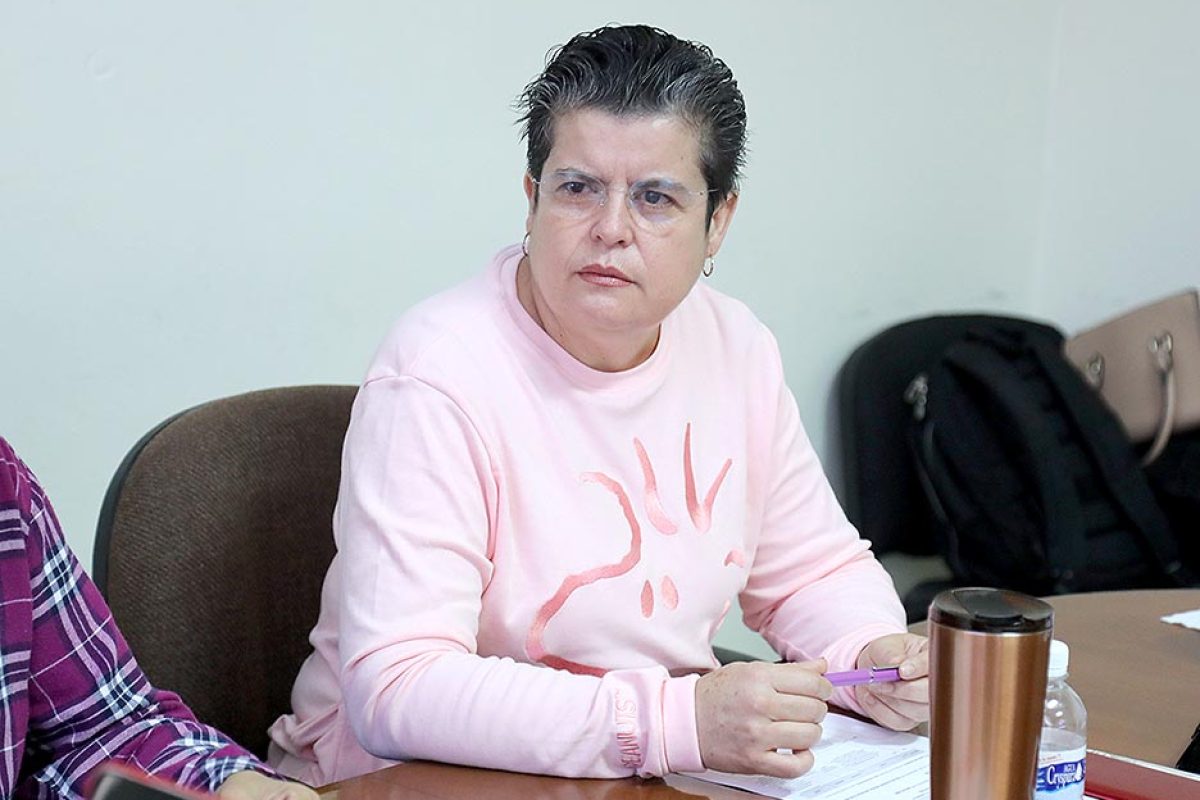 Dip. Ma Elena Ramírez Ramírez (1)
