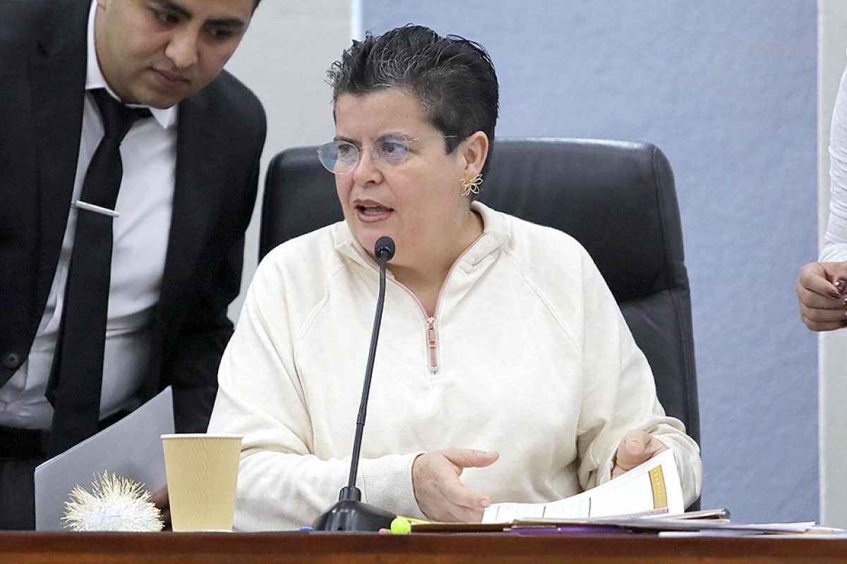 Dip. Ma Elena Ramírez Ramírez (2)
