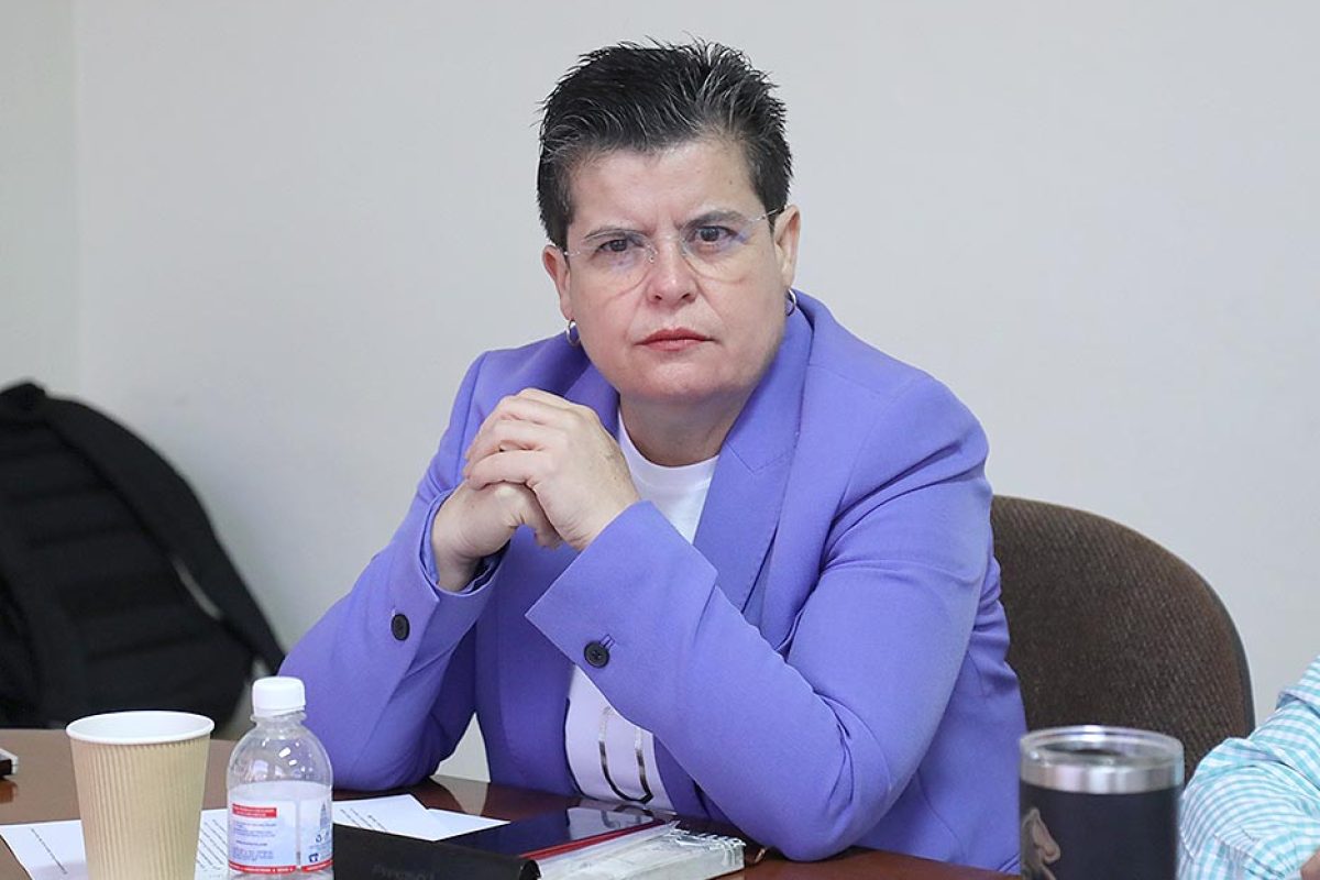 Dip. Ma Elena Ramírez Ramírez