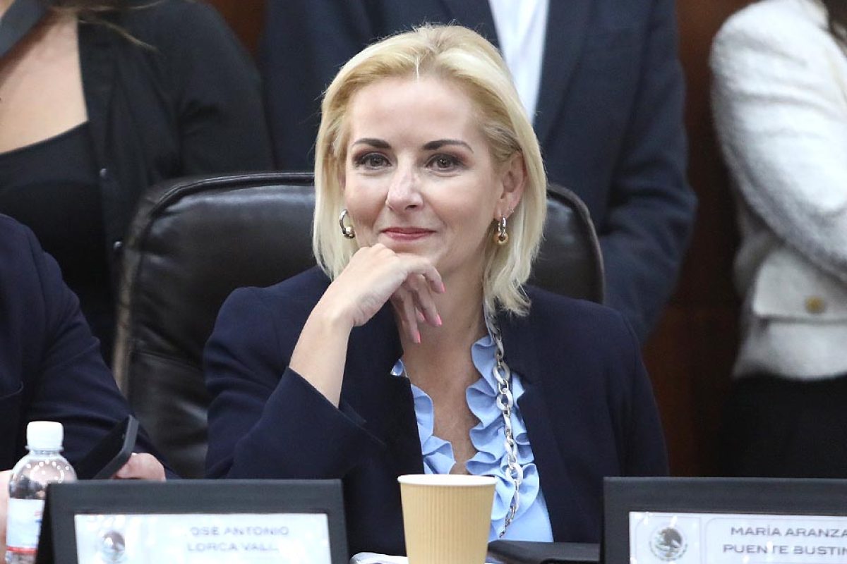 Dip. María Aranzazu Puente Bustindui (1)