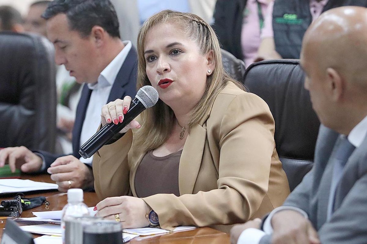 Dip. Yolanda Josefina Cepeda Echavarría